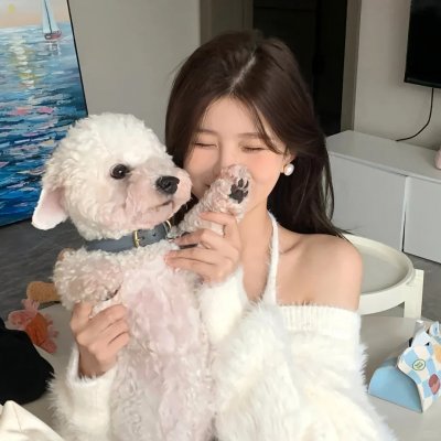 金灿灿的反转人生