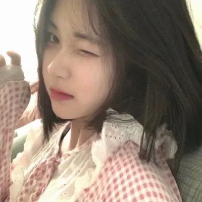 梅子鸡之味